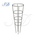 Supports de cage de tomate de fer